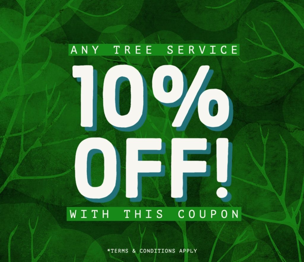 Greater Houston Tree Service Tree Solutions of Texas Tree Solutions